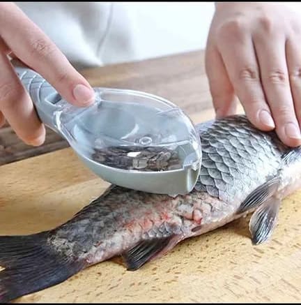 🐟 Grattoir de poisson disponible
